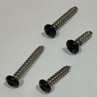 Black Stainless Steel Screws come in #8 & #10 diameter and .75" & 1.25" lengths